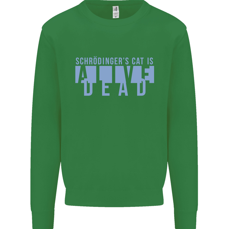 Schrodingers Cat Dead Alive Kids Sweatshirt Jumper Irish Green
