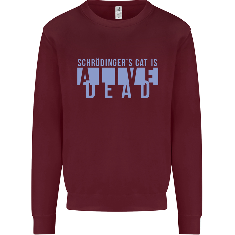 Schrodingers Cat Dead Alive Kids Sweatshirt Jumper Maroon
