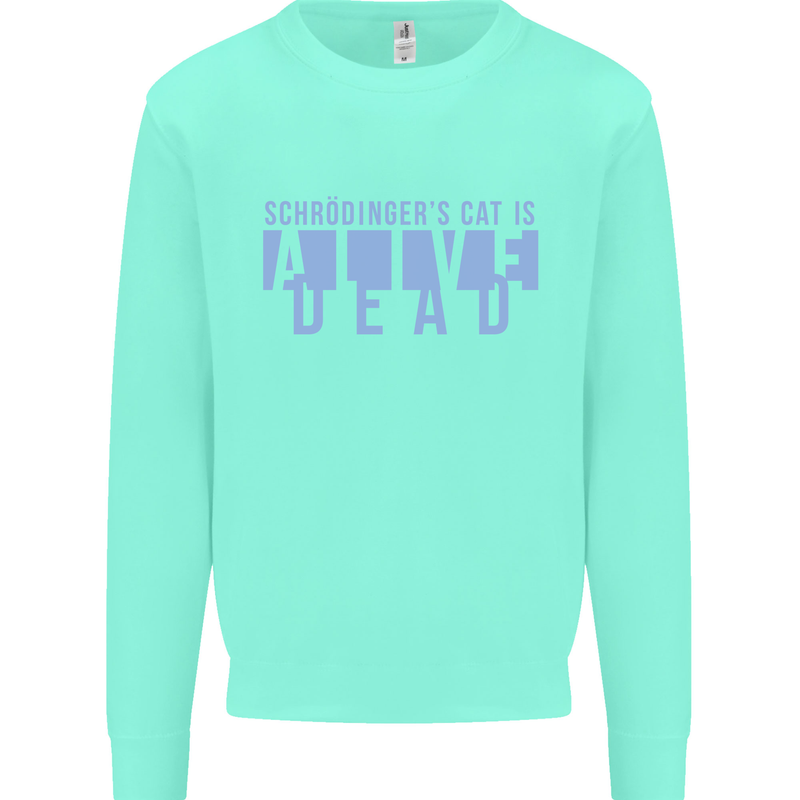 Schrodingers Cat Dead Alive Kids Sweatshirt Jumper Peppermint