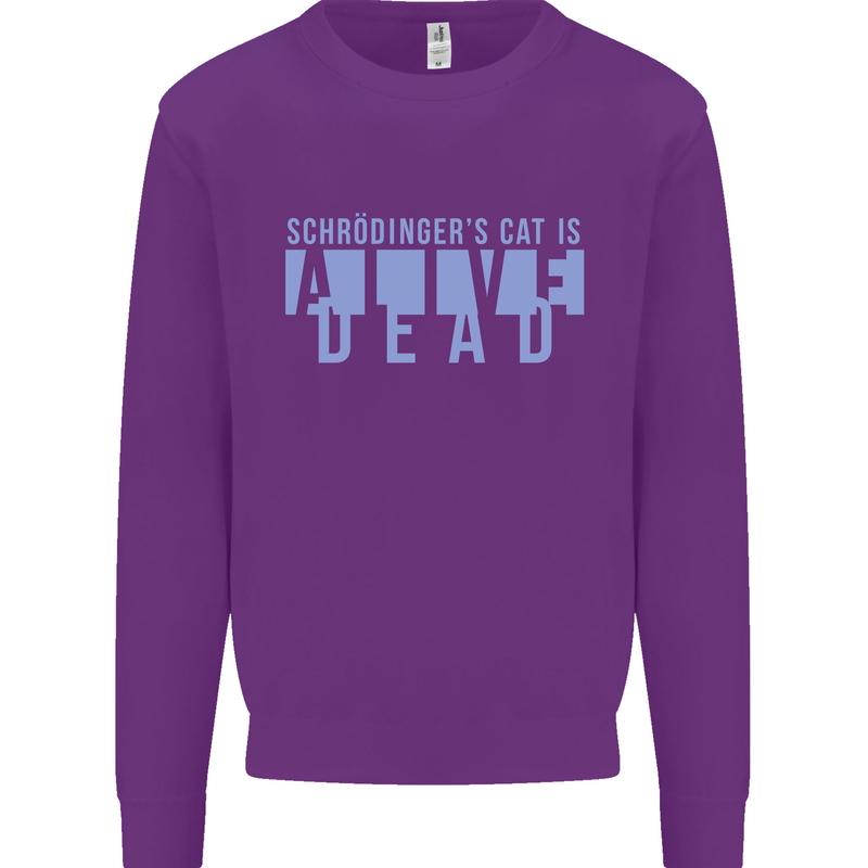 Schrodingers Cat Dead Alive Kids Sweatshirt Jumper Purple