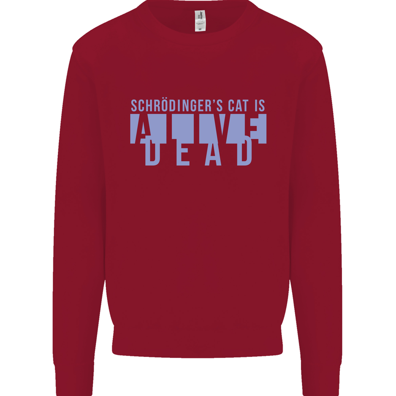 Schrodingers Cat Dead Alive Kids Sweatshirt Jumper Red
