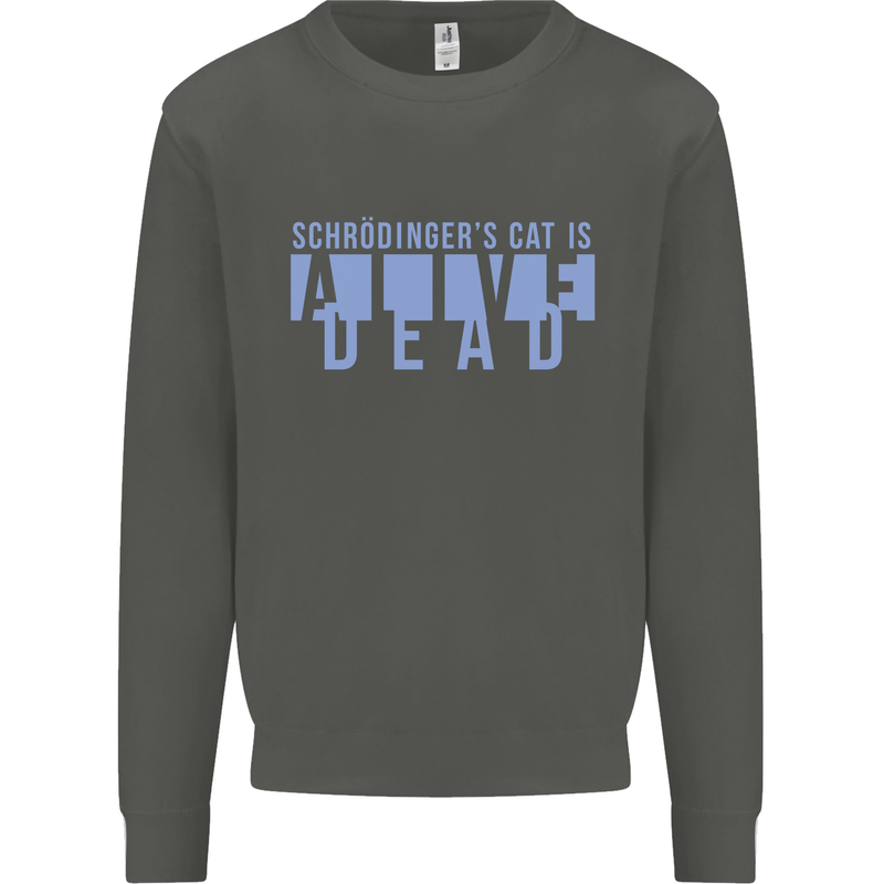 Schrodingers Cat Dead Alive Kids Sweatshirt Jumper Storm Grey