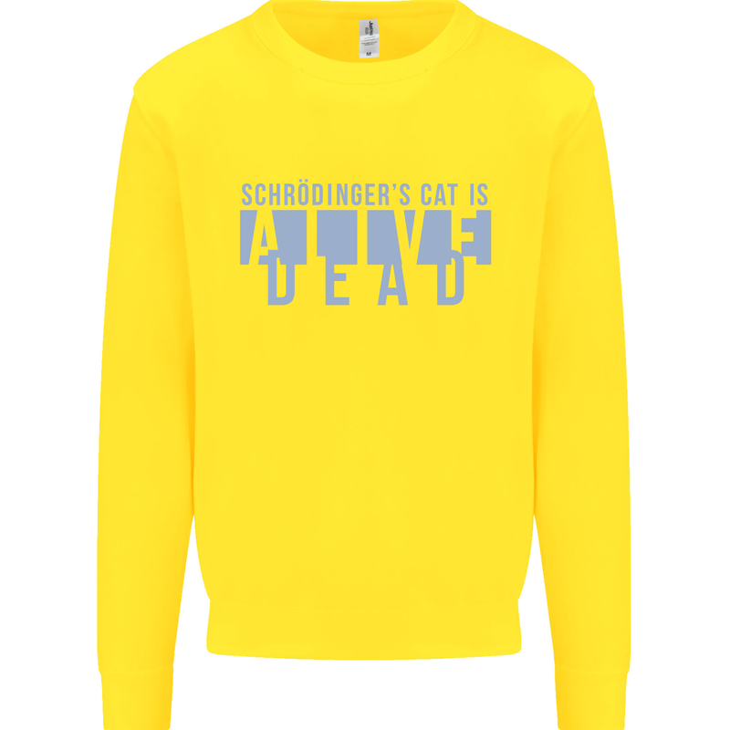 Schrodingers Cat Dead Alive Kids Sweatshirt Jumper Yellow