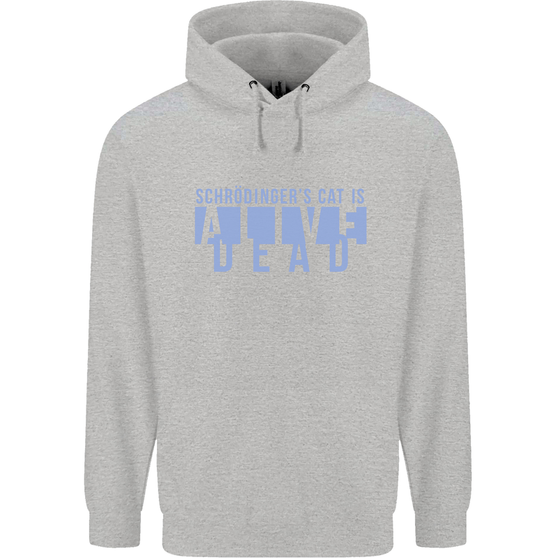 Schrodingers Cat Dead Alive Mens 80% Cotton Hoodie Sports Grey