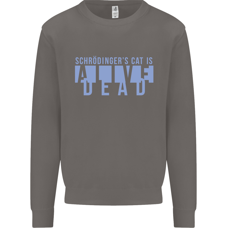 Schrodingers Cat Dead Alive Mens Sweatshirt Jumper Charcoal