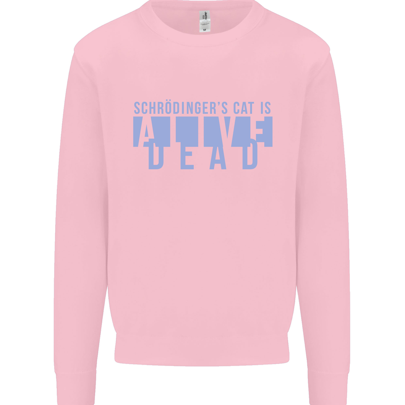 Schrodingers Cat Dead Alive Mens Sweatshirt Jumper Light Pink