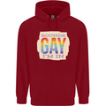 Sounds Gay Im In Funny LGBT Gay Pride Day Childrens Kids Hoodie Red