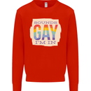 Sounds Gay Im In Funny LGBT Gay Pride Day Kids Sweatshirt Jumper Bright Red
