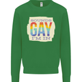 Sounds Gay Im In Funny LGBT Gay Pride Day Kids Sweatshirt Jumper Irish Green