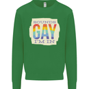 Sounds Gay Im In Funny LGBT Gay Pride Day Kids Sweatshirt Jumper Irish Green