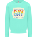 Sounds Gay Im In Funny LGBT Gay Pride Day Kids Sweatshirt Jumper Peppermint