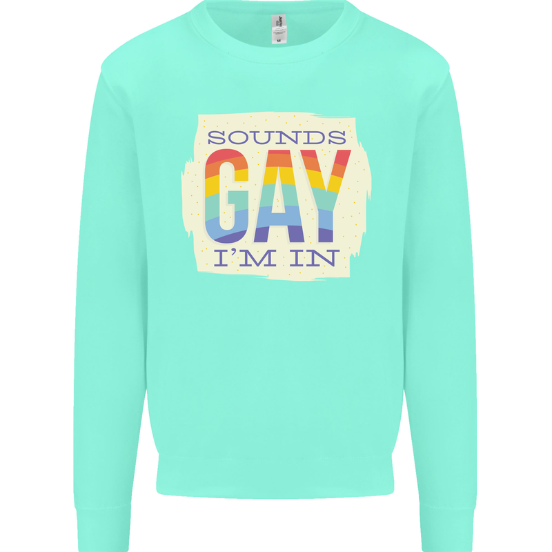 Sounds Gay Im In Funny LGBT Gay Pride Day Kids Sweatshirt Jumper Peppermint