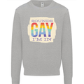 Sounds Gay Im In Funny LGBT Gay Pride Day Kids Sweatshirt Jumper Sports Grey