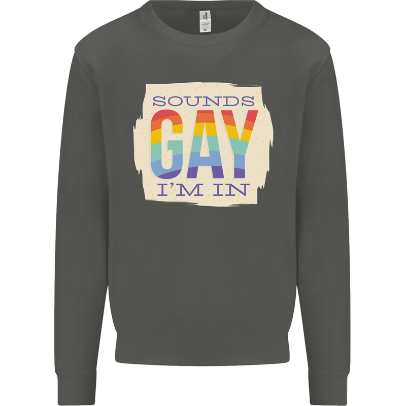 Sounds Gay Im In Funny LGBT Gay Pride Day Kids Sweatshirt Jumper Storm Grey