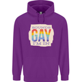 Sounds Gay Im In Funny LGBT Gay Pride Day Mens 80% Cotton Hoodie Purple