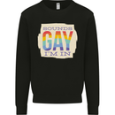 Sounds Gay Im In Funny LGBT Gay Pride Day Mens Sweatshirt Jumper Black