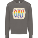 Sounds Gay Im In Funny LGBT Gay Pride Day Mens Sweatshirt Jumper Charcoal