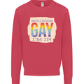 Sounds Gay Im In Funny LGBT Gay Pride Day Mens Sweatshirt Jumper Heliconia