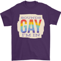 Sounds Gay Im In Funny LGBT Gay Pride Day Mens T-Shirt 100% Cotton Purple