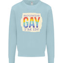 Sounds Gay Im In Funny LGBT Gay Pride Kids Sweatshirt Jumper Light Blue