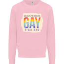 Sounds Gay Im In Funny LGBT Gay Pride Kids Sweatshirt Jumper Light Pink