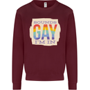 Sounds Gay Im In Funny LGBT Gay Pride Kids Sweatshirt Jumper Maroon