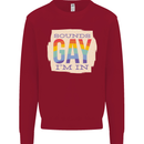 Sounds Gay Im In Funny LGBT Gay Pride Kids Sweatshirt Jumper Red