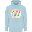 Sounds Gay Im In Funny LGBT Gay Pride Mens 80% Cotton Hoodie Light Blue