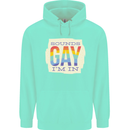 Sounds Gay Im In Funny LGBT Gay Pride Mens 80% Cotton Hoodie Peppermint