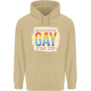 Sounds Gay Im In Funny LGBT Gay Pride Mens 80% Cotton Hoodie Sand