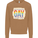 Sounds Gay Im In Funny LGBT Gay Pride Mens Sweatshirt Jumper Caramel Latte