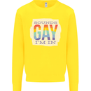 Sounds Gay Im In Funny LGBT Gay Pride Mens Sweatshirt Jumper Yellow