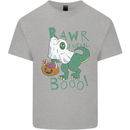 T-Rex RAWR I Mean Booo Halloween Dinosaur Kids T-Shirt Childrens Sports Grey