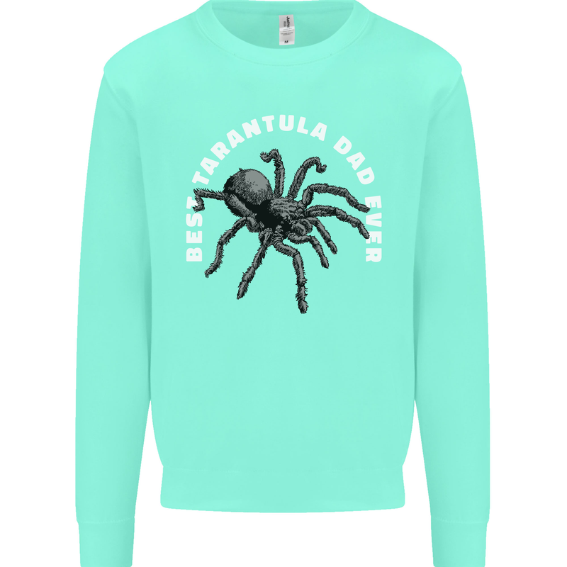 Tarantula Dad Funny Spider Kids Sweatshirt Jumper Peppermint