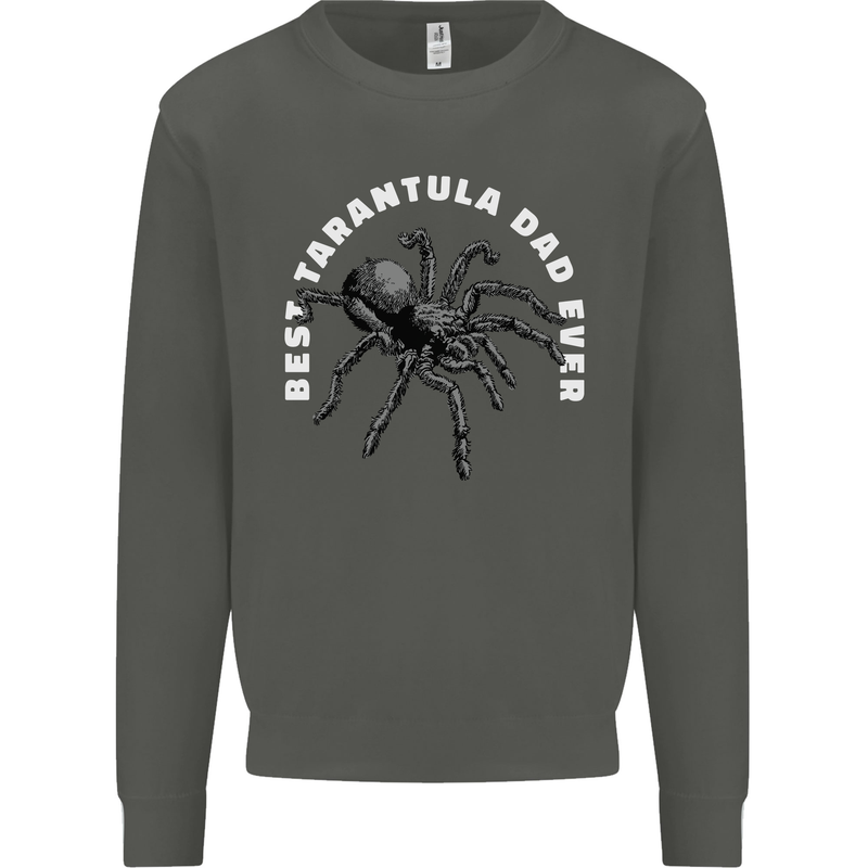 Tarantula Dad Funny Spider Kids Sweatshirt Jumper Storm Grey