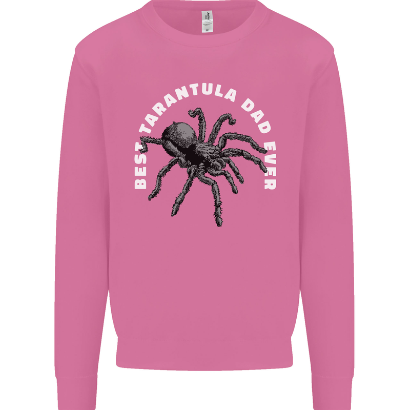 Tarantula Dad Funny Spider Mens Sweatshirt Jumper Azalea