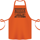 Teacher Attitude Funny Teaching Games PE Geography Cotton Apron 100% Organic Orange