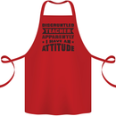 Teacher Attitude Funny Teaching Games PE Geography Cotton Apron 100% Organic Red