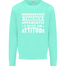 Teacher Attitude Funny Teaching Maths English Kids Sweatshirt Jumper Peppermint