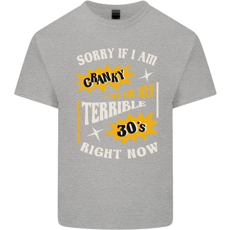 Terrible 30s Funny 30 Year Old Birthday Mens Cotton T-Shirt Tee Top Sports Grey