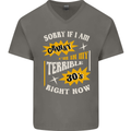 Terrible 30s Funny 30 Year Old Birthday Mens V-Neck Cotton T-Shirt Charcoal