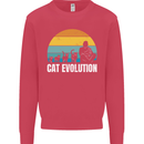 The Evolution of Cats Funny Crazy Lady Man Kids Sweatshirt Jumper Heliconia