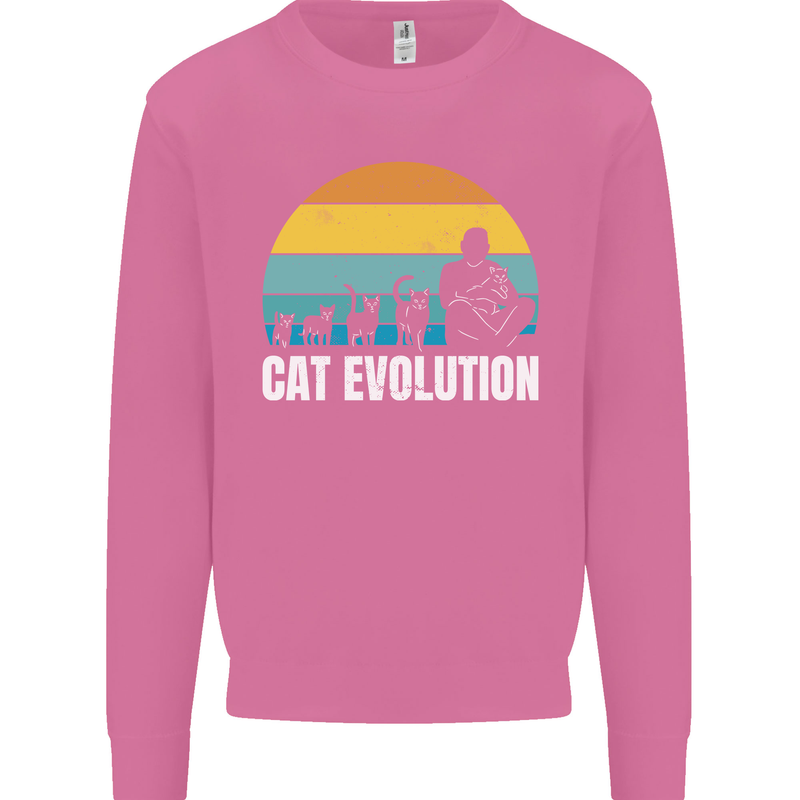The Evolution of Cats Funny Crazy Lady Man Mens Sweatshirt Jumper Azalea