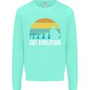 The Evolution of Cats Funny Crazy Lady Man Mens Sweatshirt Jumper Peppermint