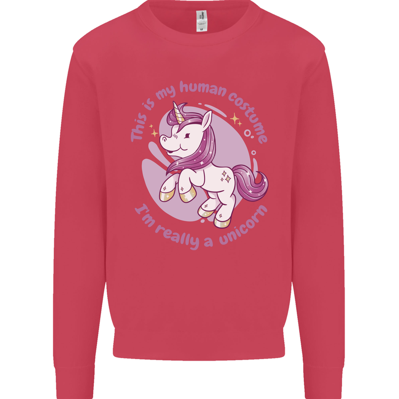 This is My Unicorn Costume Fancy Dress Outfit Kids Sweatshirt Jumper Heliconia