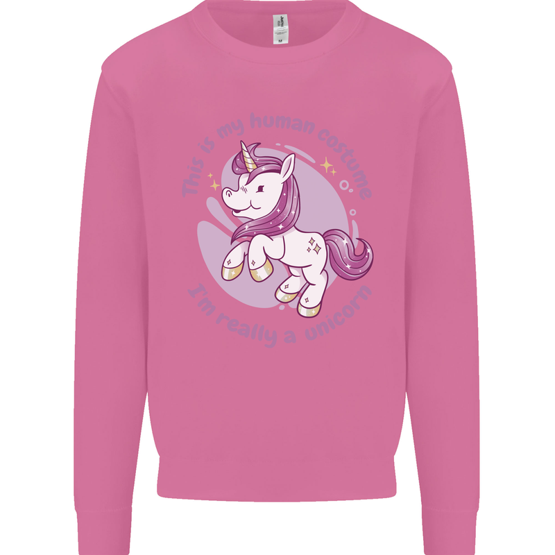 This is My Unicorn Costume Fancy Dress Outfit Mens Sweatshirt Jumper Azalea