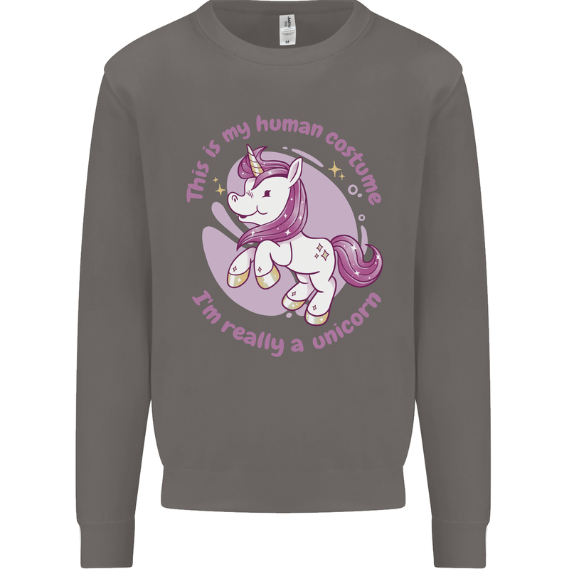 This is My Unicorn Costume Fancy Dress Outfit Mens Sweatshirt Jumper Charcoal