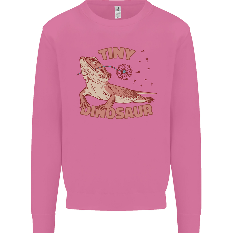 Tiny Dinosaur Funny Bearded Dragon Mens Sweatshirt Jumper Azalea