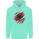 Torn Albania Flag Albanian Day Football Childrens Kids Hoodie Peppermint