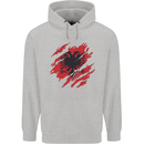 Torn Albania Flag Albanian Day Football Childrens Kids Hoodie Sports Grey